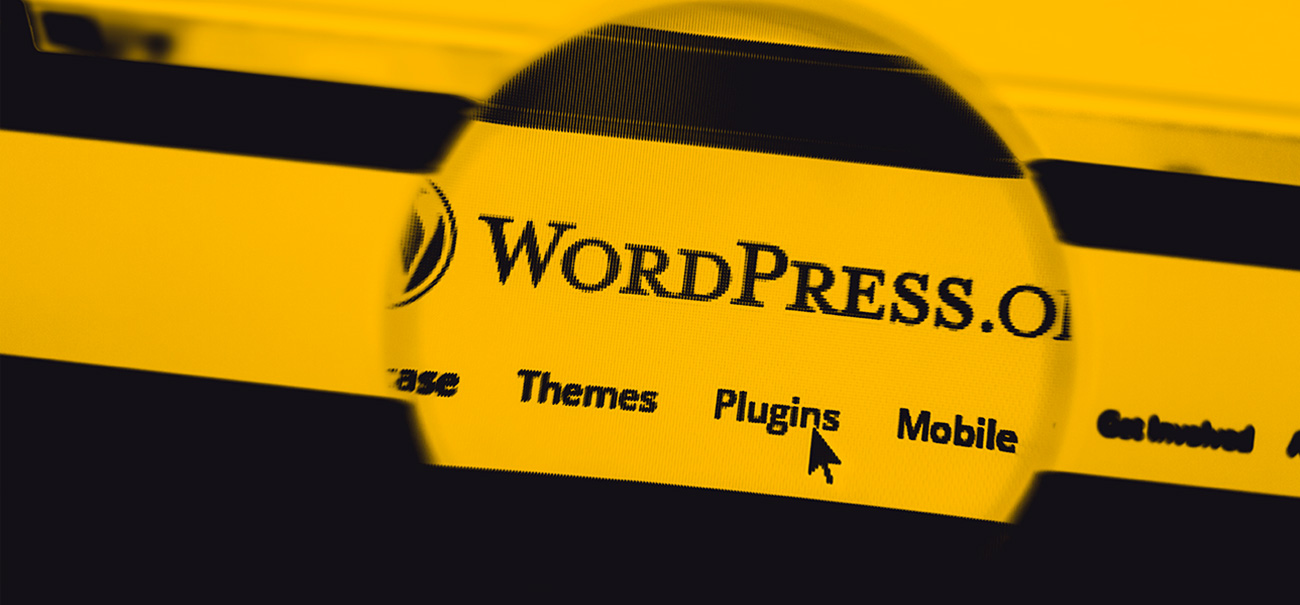 Restringir Páginas y Entradas Plugin Wordpress